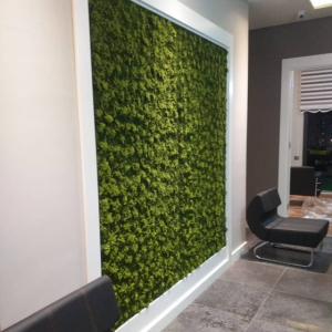 Ekran görüntüsü 2025-04-13 213346