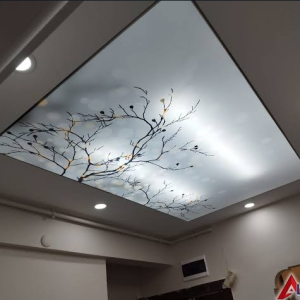 Ekran görüntüsü 2025-04-13 213451